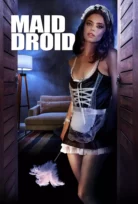 Hizmetçi Droid