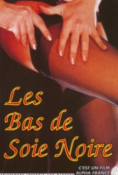Les Bas de Soie Noire